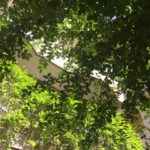 毎月目標達成して平日の夜の予定も楽しみたい営業女子のあなたへ